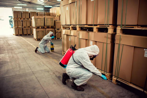 Best Cockroach Control Services  in Ball Pond, CT
