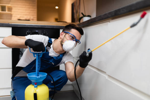 Best Local Pest Control Services  in Ball Pond, CT