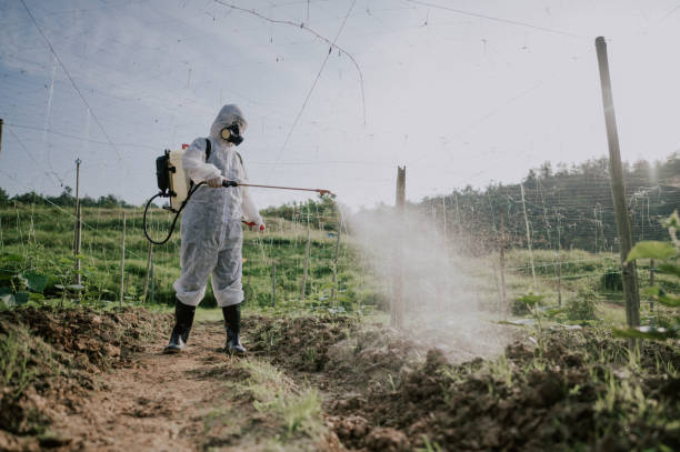 Best Best Pest Control Companies  in Ball Pond, CT