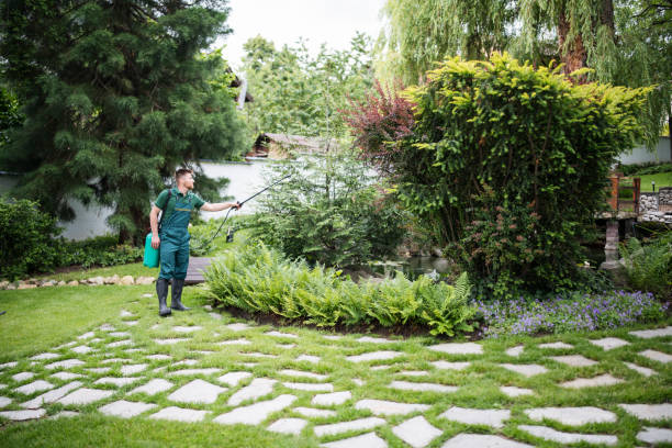 Reliable Ball Pond, CT Pest Control Solutions