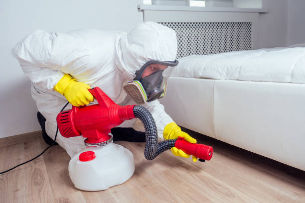 Best Residential Pest Control  in Ball Pond, CT