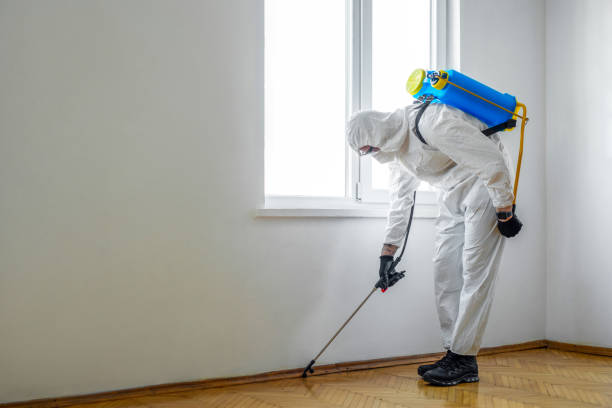 Best Commercial Pest Control Services  in Ball Pond, CT