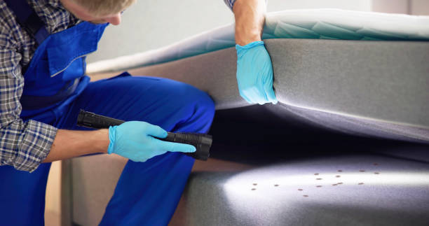 Best Mosquito Control Services  in Ball Pond, CT