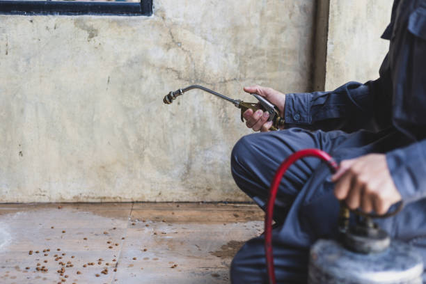 Best Pest Removal Services  in Ball Pond, CT